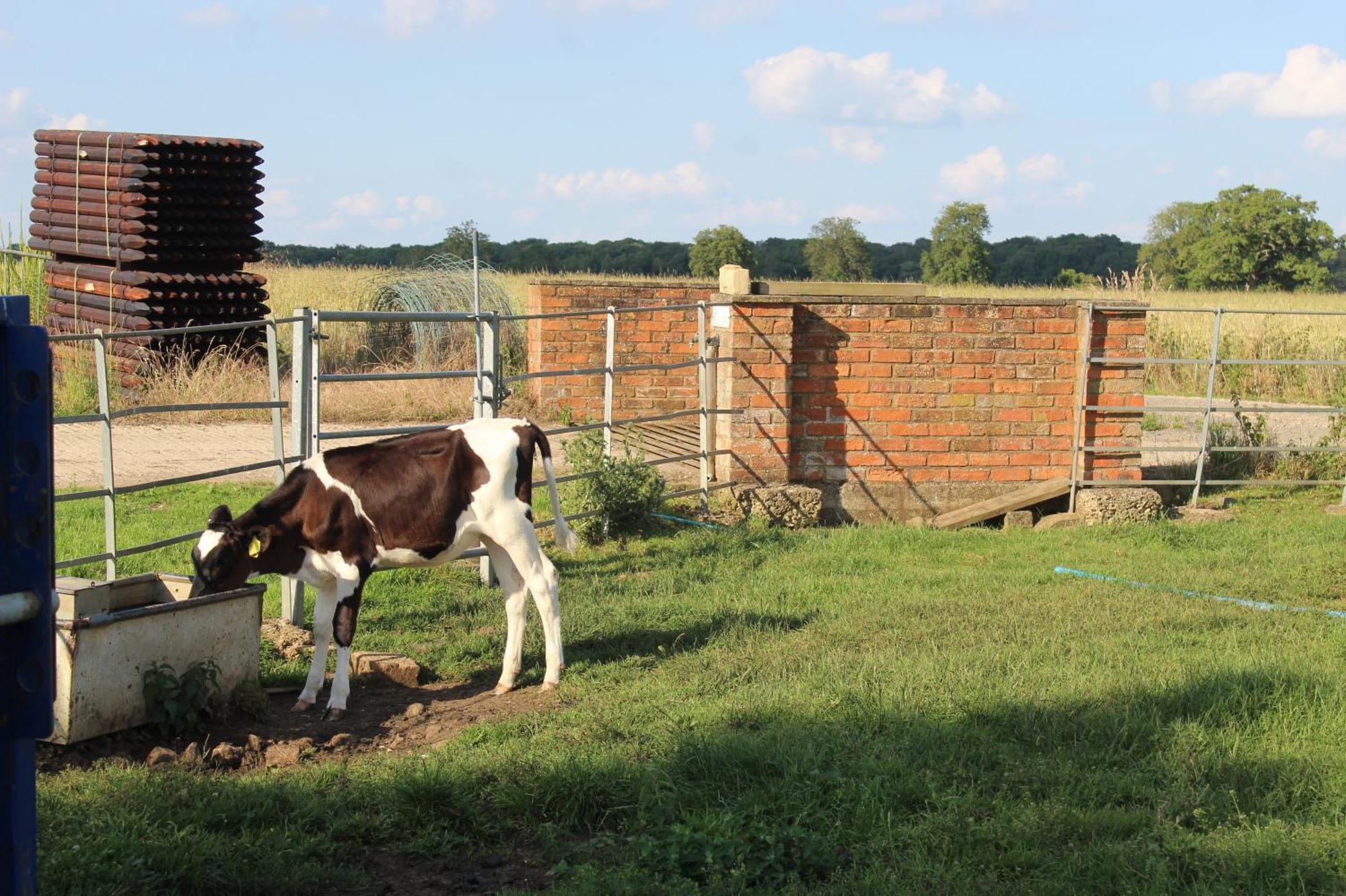 Parkfields Barns Self Catering Accommodation Buckingham Dış mekan fotoğraf