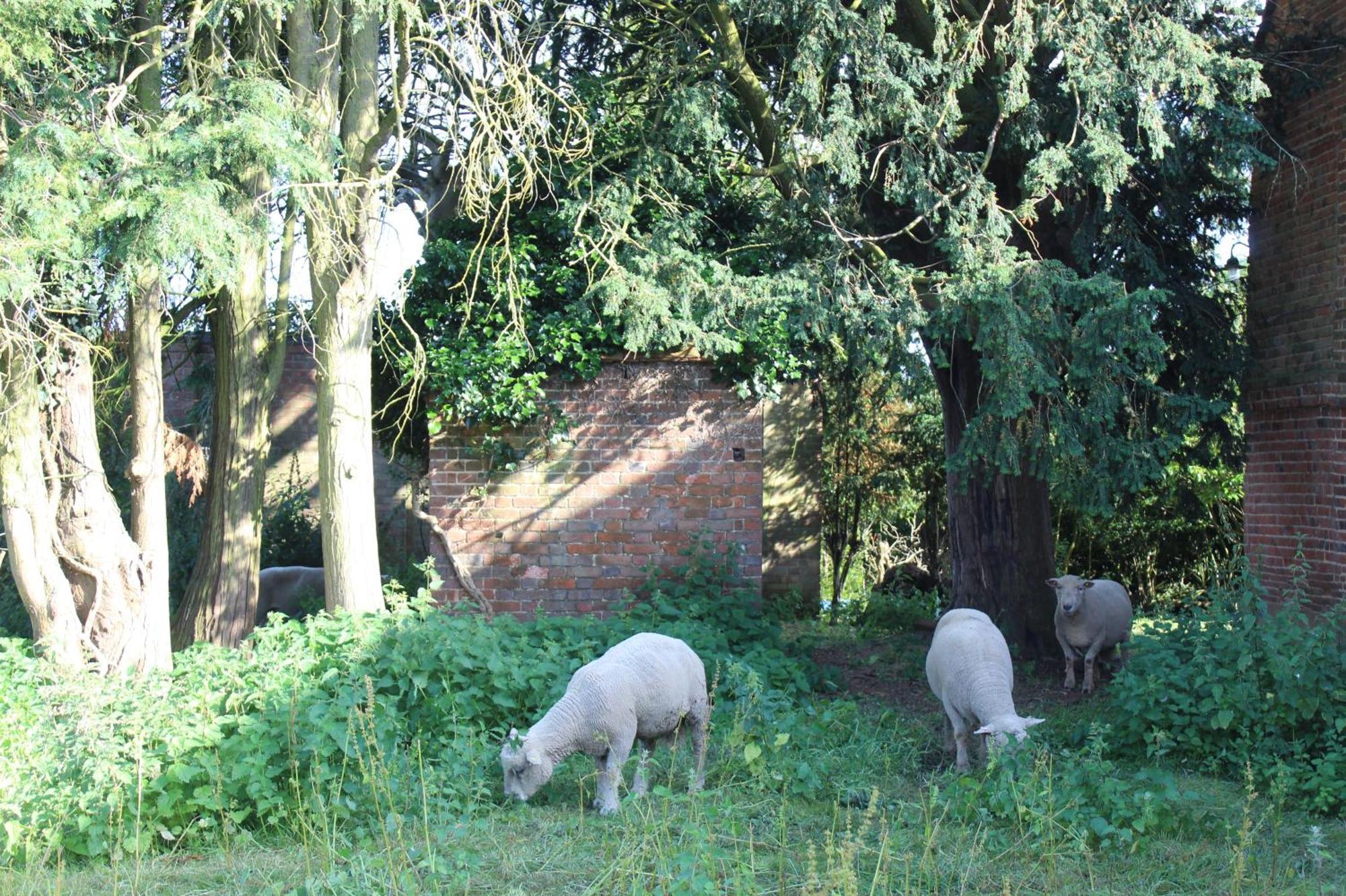 Parkfields Barns Self Catering Accommodation Buckingham Dış mekan fotoğraf