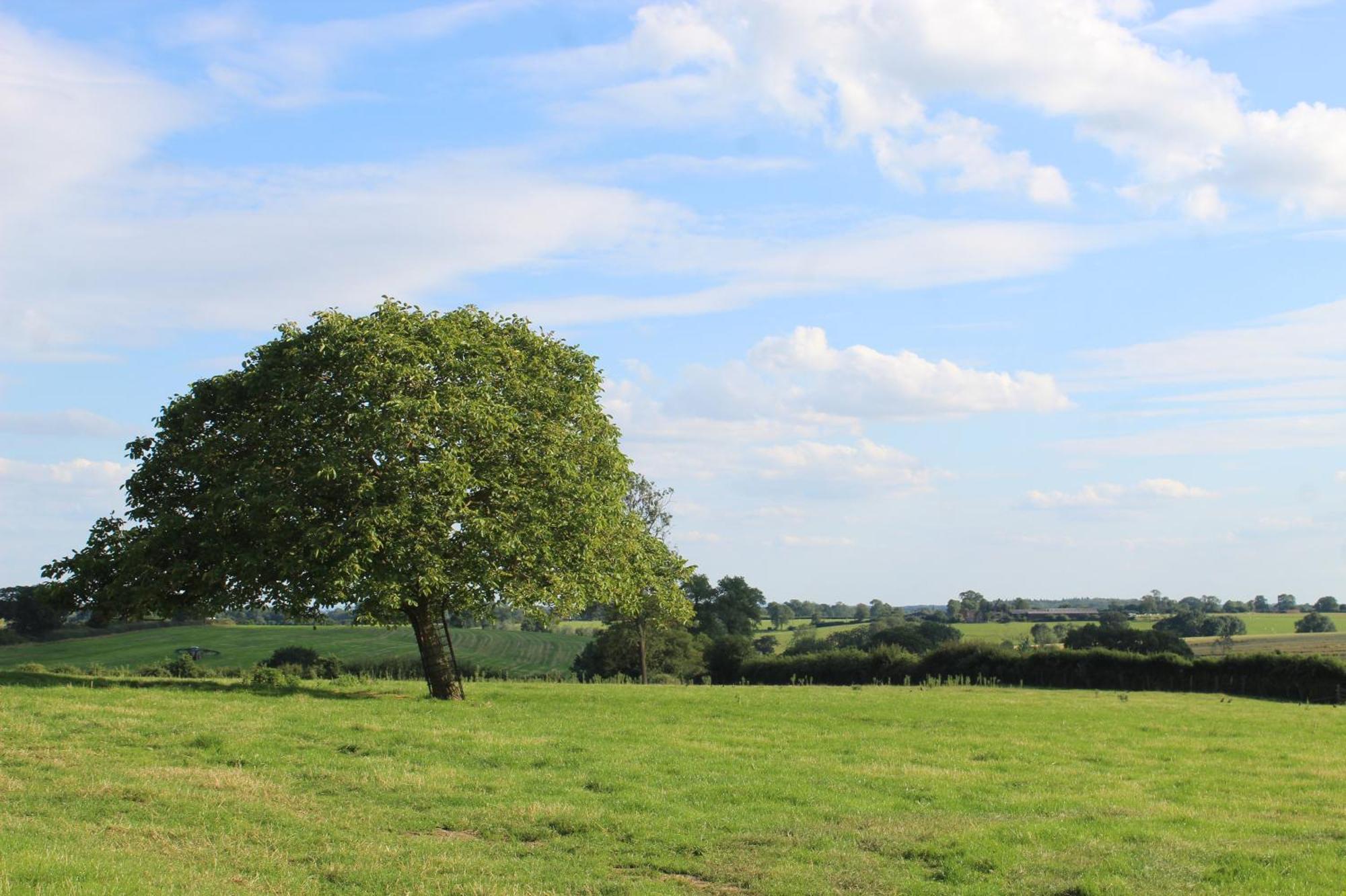 Parkfields Barns Self Catering Accommodation Buckingham Dış mekan fotoğraf