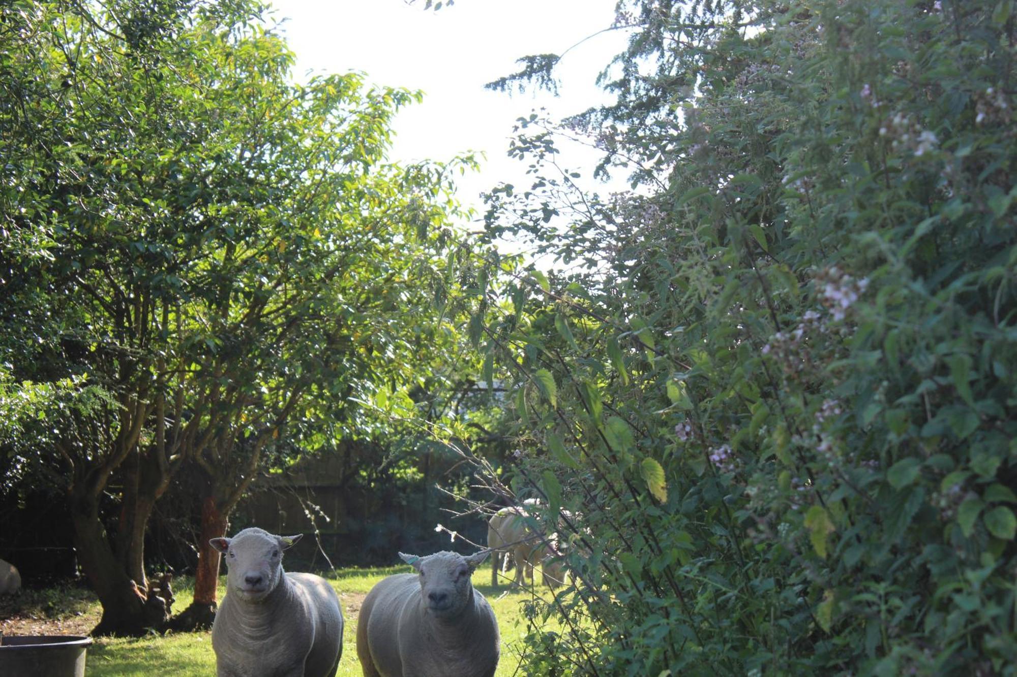 Parkfields Barns Self Catering Accommodation Buckingham Dış mekan fotoğraf