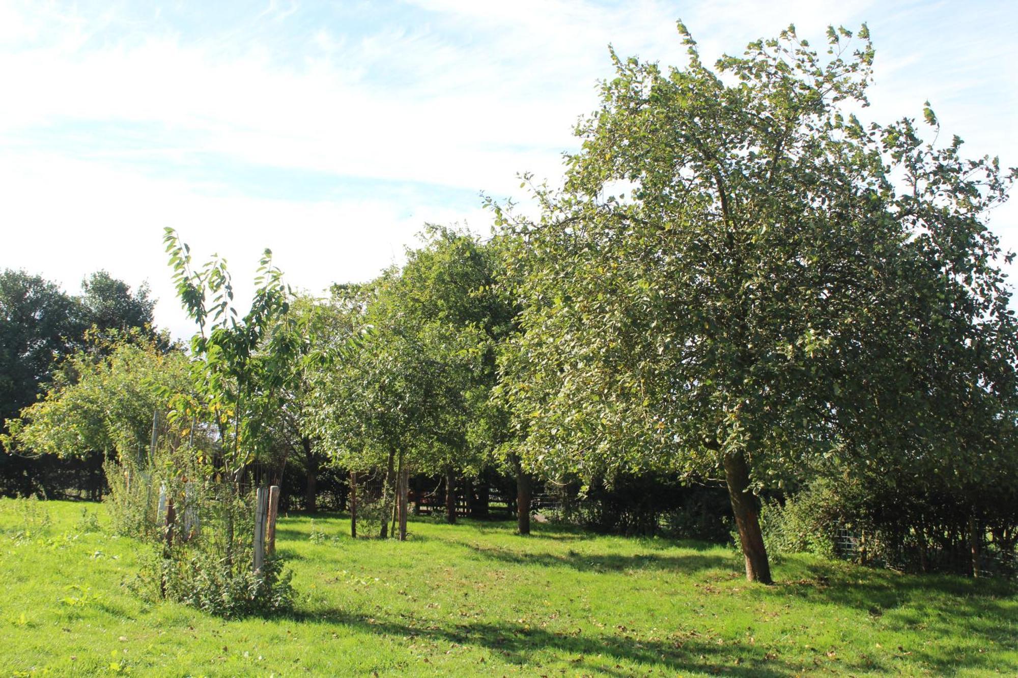 Parkfields Barns Self Catering Accommodation Buckingham Dış mekan fotoğraf